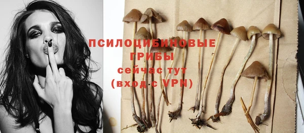 ГАЛЛЮЦИНОГЕННЫЕ ГРИБЫ Алексеевка
