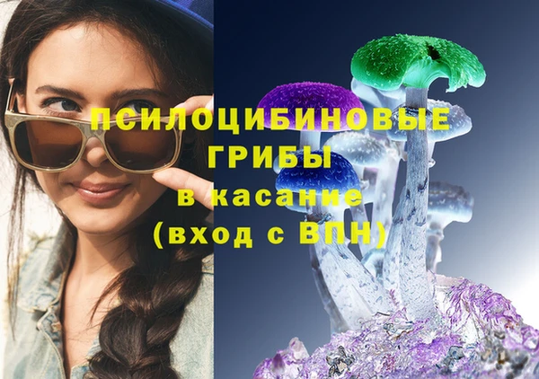 ГАЛЛЮЦИНОГЕННЫЕ ГРИБЫ Алексеевка