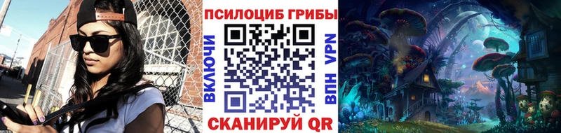 Купить закладки  Южно-Сахалинск  Псилоцибиновые грибы Psilocybe 