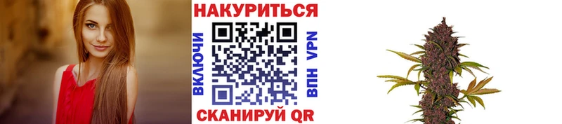 Бошки Шишки планчик  Купить где  Южно-Сахалинск 
